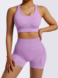 Workout Sets 2 Piece Crop Tank Top & Yoga Outfits Shorts